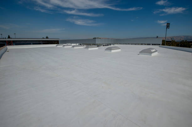 Best Roof Insulation Installation  in Rockdale, IL